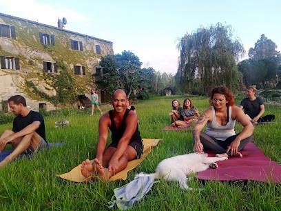 Yoga et Nature Sauvage, Cours de Yoga à Lumio