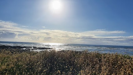 Sophie THIMMASONE, Thérapeute Reiki à Saint-Père-en-Retz