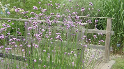 Soler-vinay Roselyne, Thérapeute Reiki à Escatalens